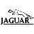 Bytesturbo/Renovering – Jaguar